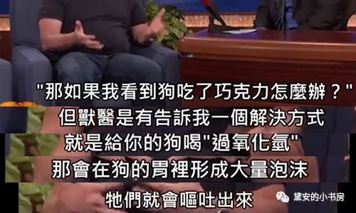 大金毛吞了一块抹布七天不吃东西,金毛吞了一个塑料球