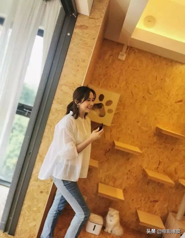 何美钿仪琳图片,仪琳小师妹扮演者何美钿住哪