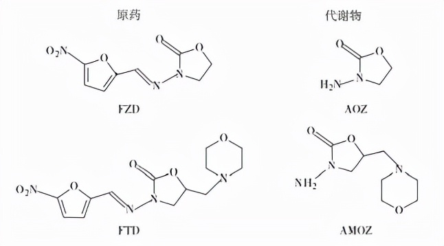 动物源性食品中有害化学物质及污染物的检测——硝基呋喃类药物