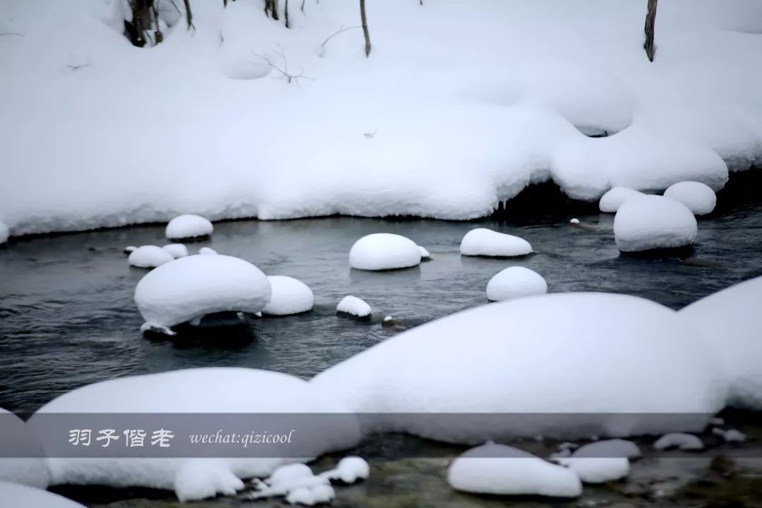 老实说,这一趟北海道就是为了拍好看的照片去的