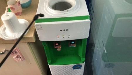 饮水机出了一只蟑螂怎么办,饮水机接出来的蟑螂能活多久