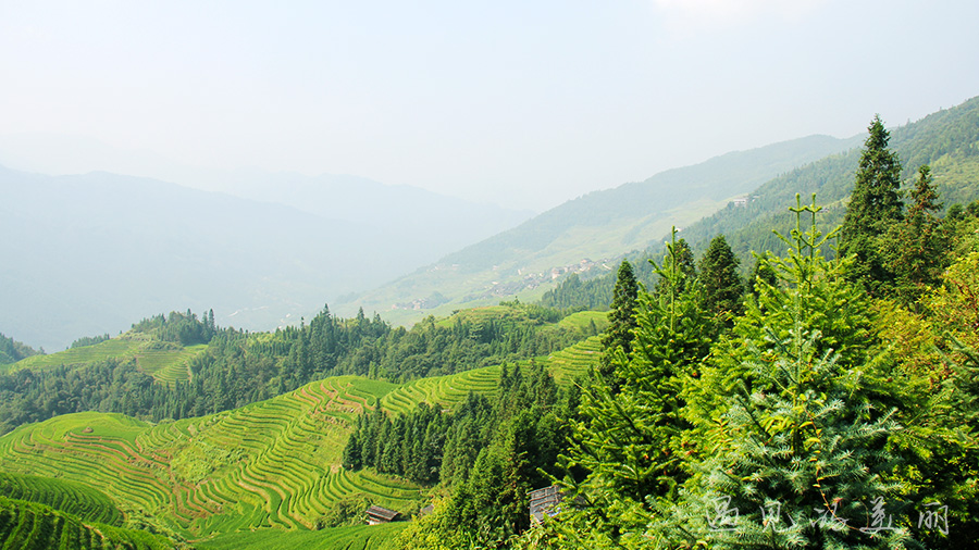 龙脊梯田风景区被破坏过吗,桂林龙脊梯田最全攻略