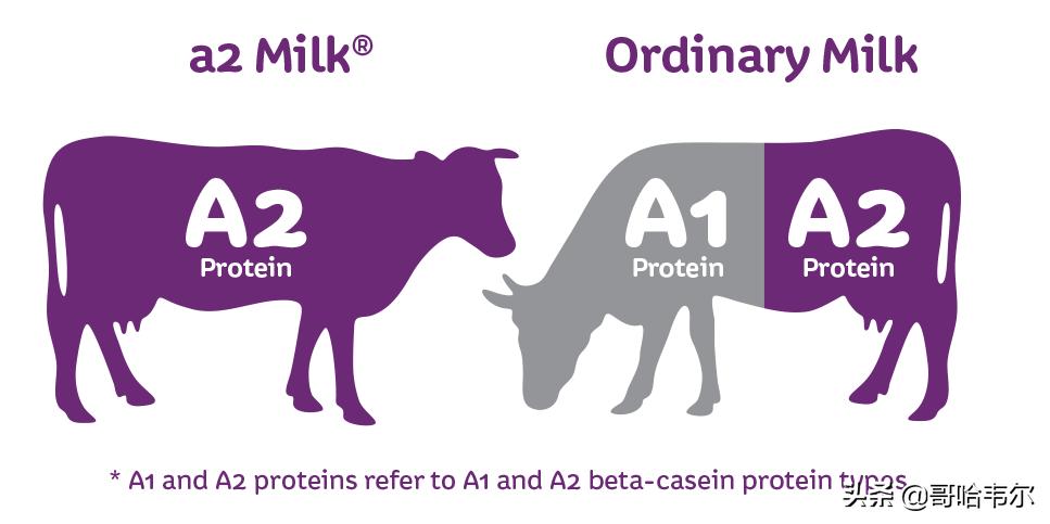 聊聊风头正旺的A*奶2**粉背后那些事