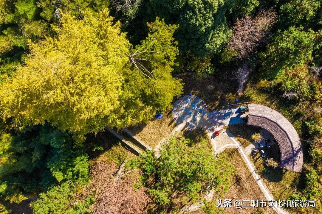 嗨！重新认识一下，我叫建宁！进来为我投票吧！