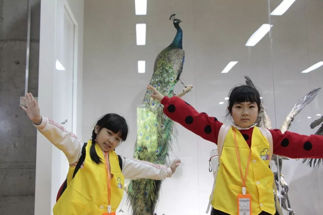 专业美院美术培训学校,高端美术特长生培训学校