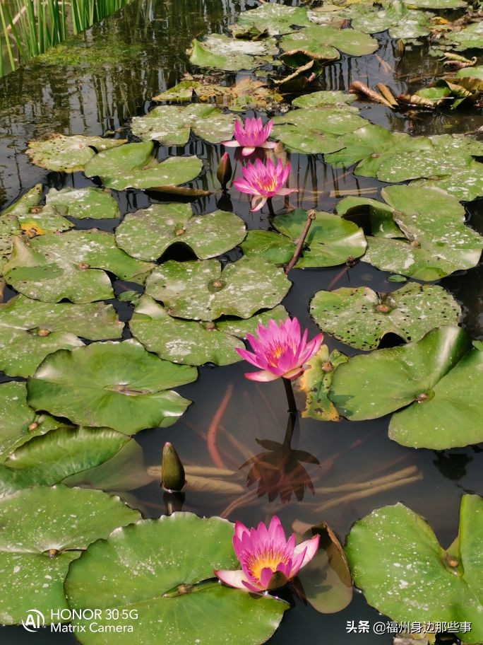 福州露营休闲放松好去处,福州温泉景区