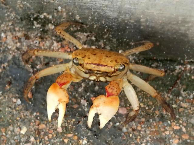 日照文旅,日照旅游攻略