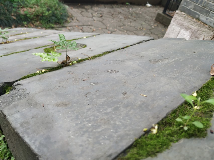 杭州古城门全景图,杭州十大古城门一日游