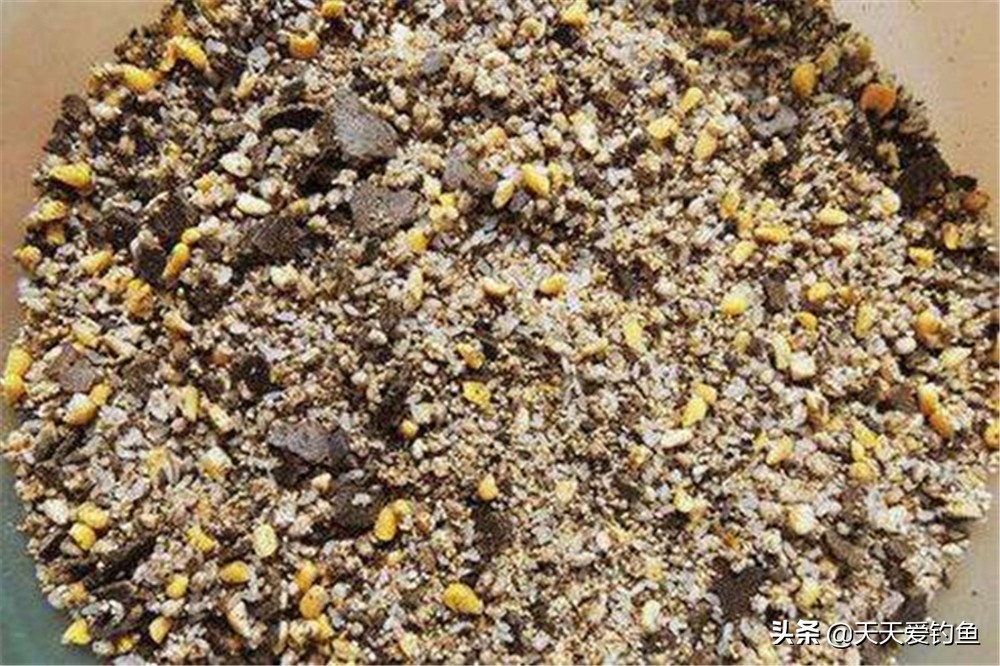 冬天钓鲫鱼自己制作窝料方法,立冬野钓大鲫鱼的诀窍