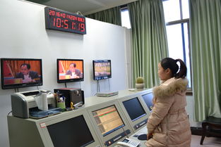 梅花鹿王娇,梅花鹿王娇简历