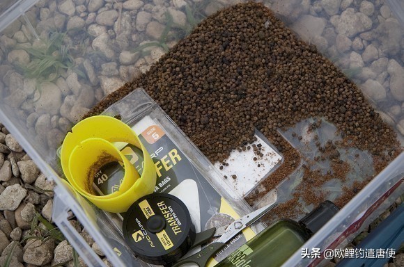 夏季下雨过后钓鱼应如何选择钓位,夏季垂钓这3个钓位上鱼超多