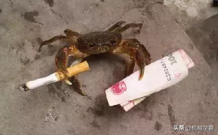 一位操作工的半年小结,一位生产厂长的实战经验