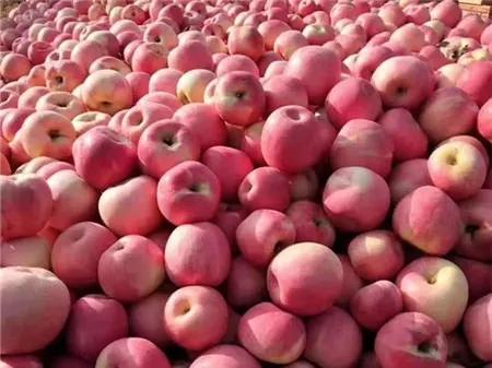 爱心助农米面粮油推销宣传,爱心助农蔬菜批发