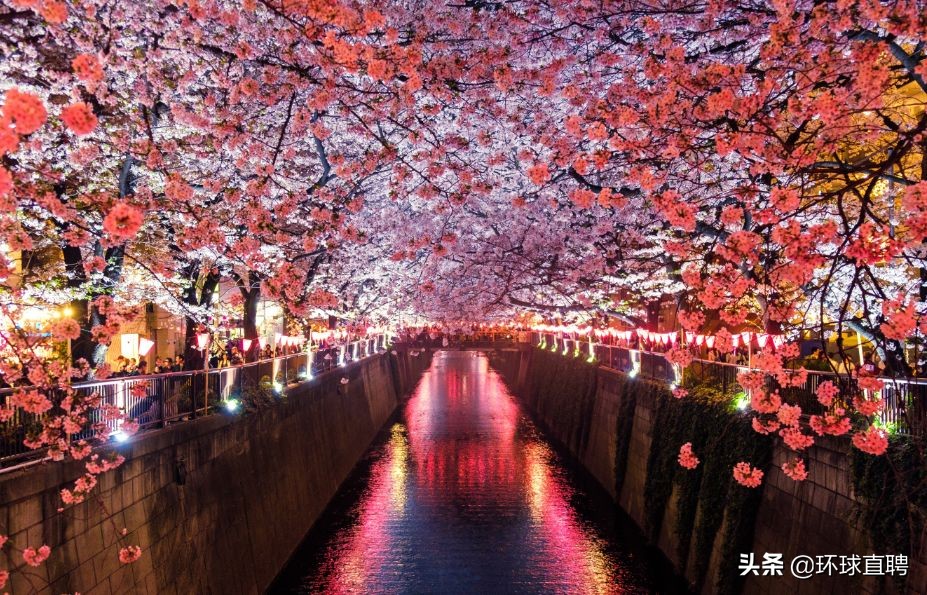 日本东京jr山手线,东京站新干线和山手线