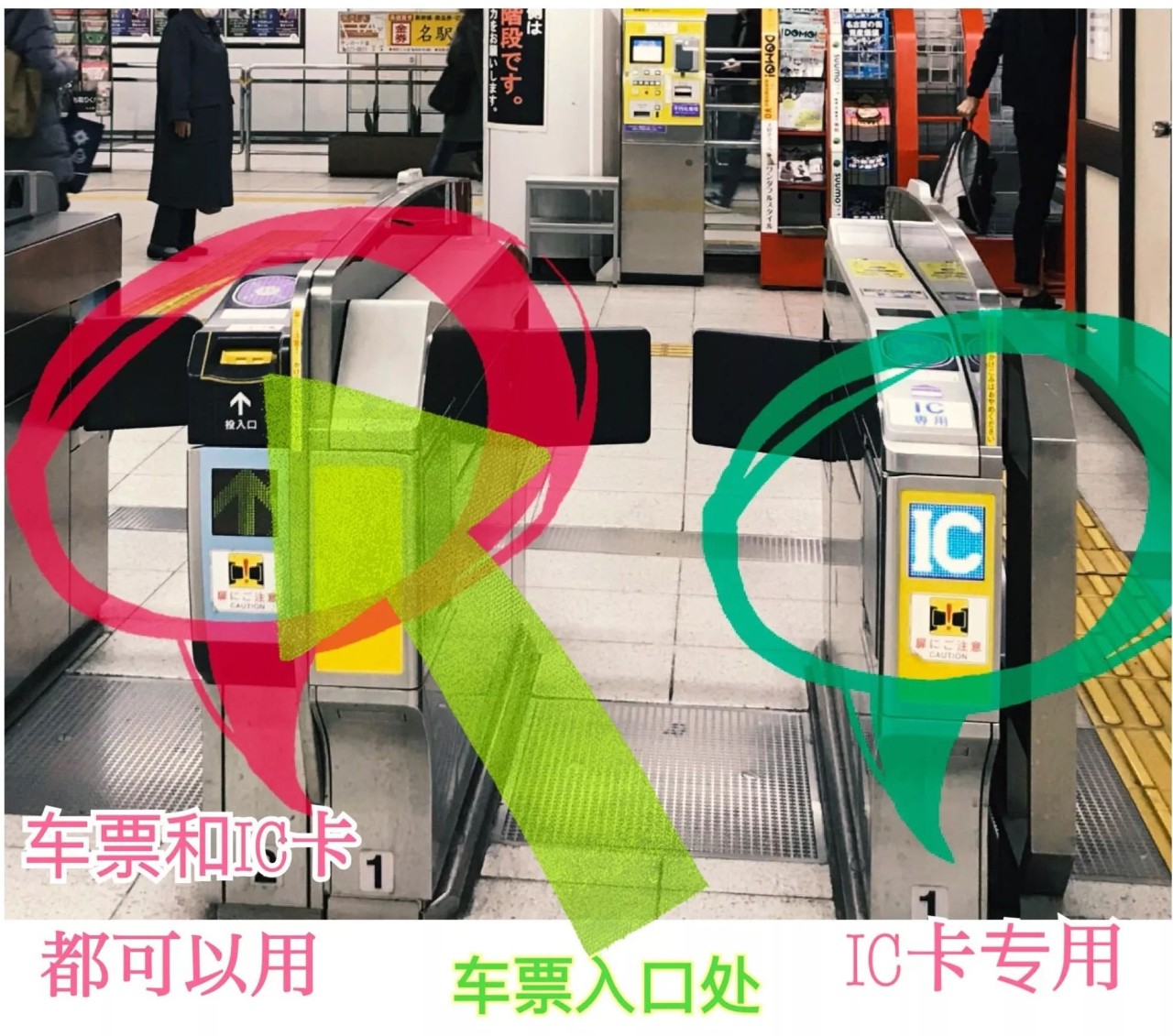 1976年日本名古屋中部国际机场,名古屋中部国际机场t1和t2有多远