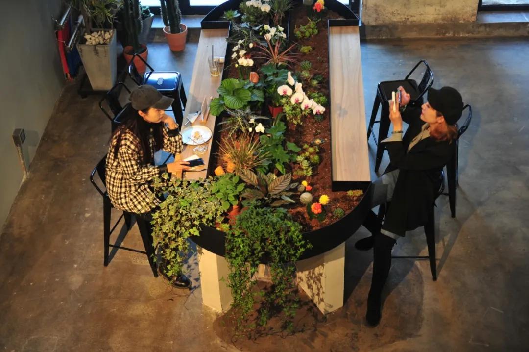 打卡网红地朋友圈,适合春天的网红打卡点