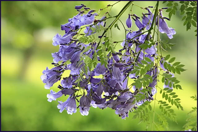 云南气温飙升,云南天气热度榜