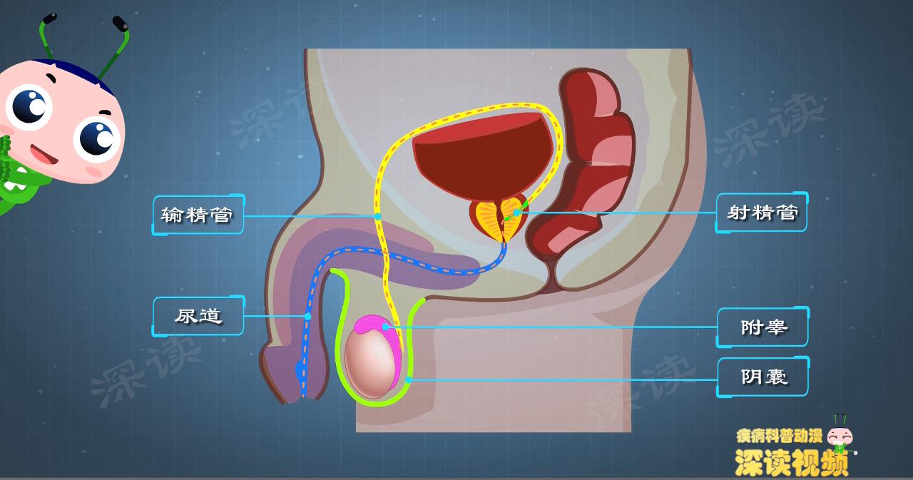 穿错内裤了怎么办,穿错内裤会得什么病