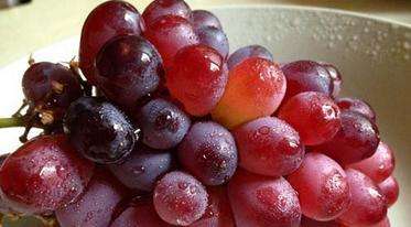 葡萄皮上的白霜千万别洗掉,红葡萄干上有白霜怎么了