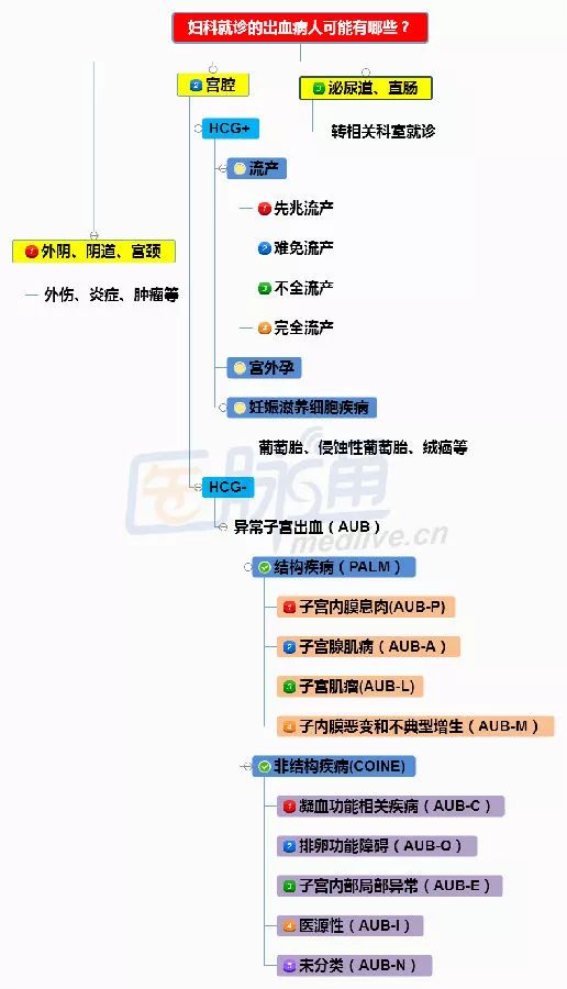 妇科出血指南,妇科学习宝典