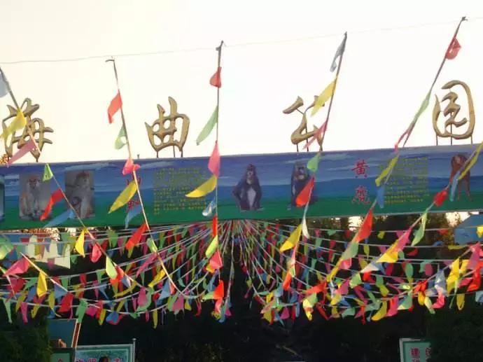 日照市区北京路和海曲路,日照海曲路逆行