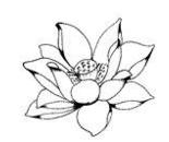 赵朴初来历,既非赵朴初还是赵朴初