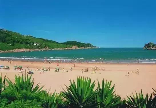 上海海边民宿推荐,可以看海的上海海边民宿推荐