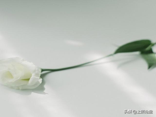 期货无敌策略,期货高手经典策略