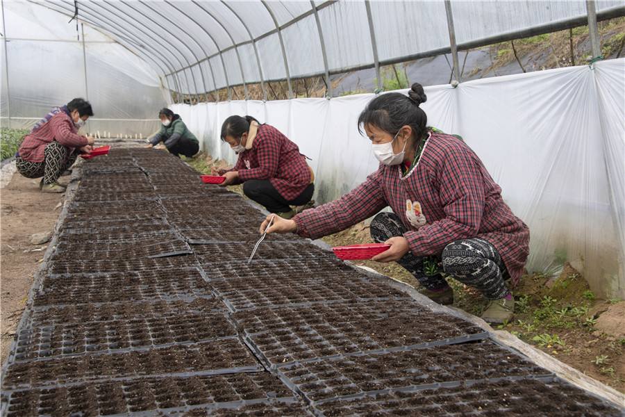 冬瓜好吃有营养的做法,冬瓜营养介绍