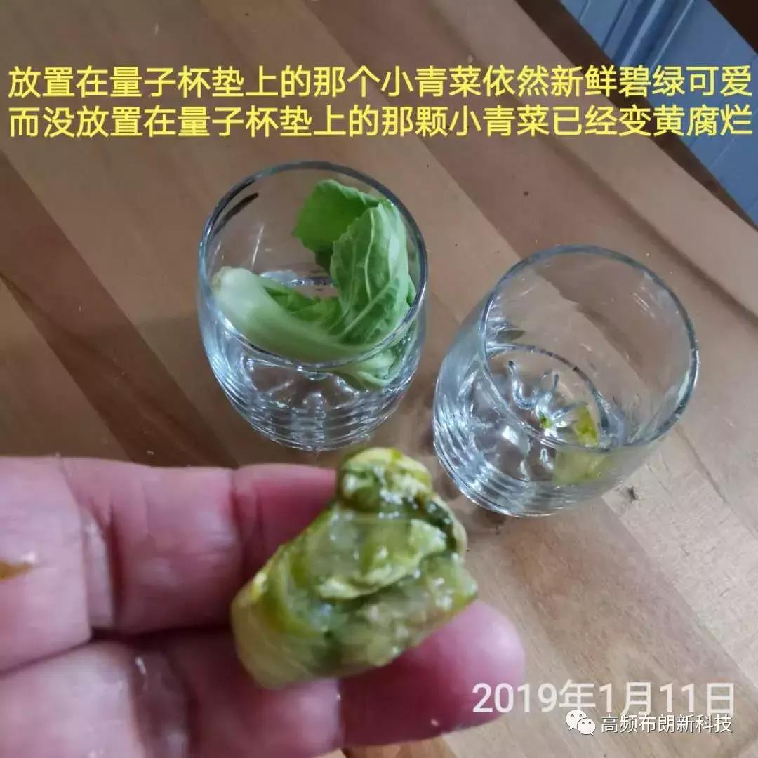 三域中盛,高频布朗科技能量产品全球企业火热加盟中