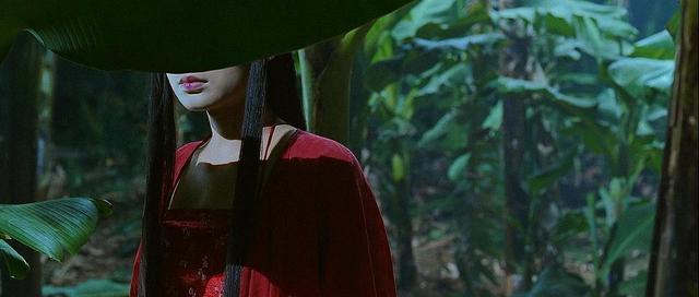 无极被低估的片子,无极到底是不是烂片