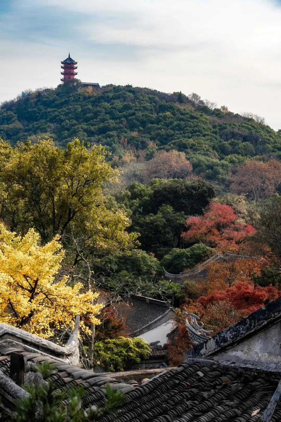 长三角最宜居的县,长三角哪些城市宜居宜业