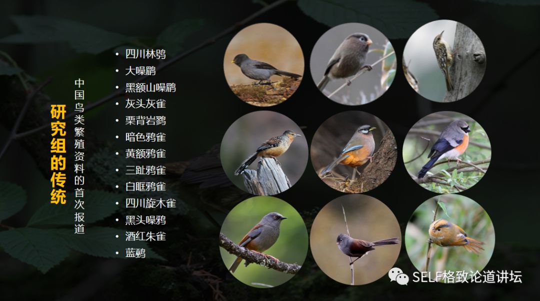 科学家如何观察植物,鸟类的研究方法