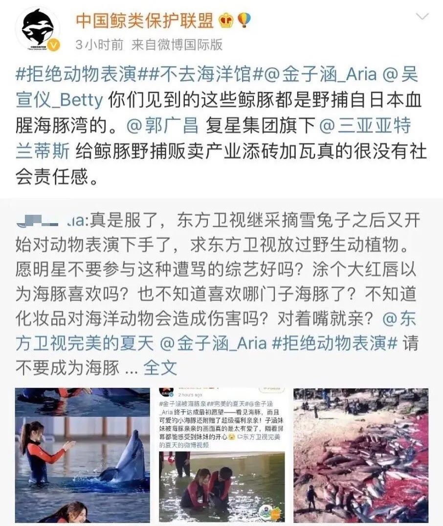 金子涵与乐华是什么关系,金子涵下任乐华一姐