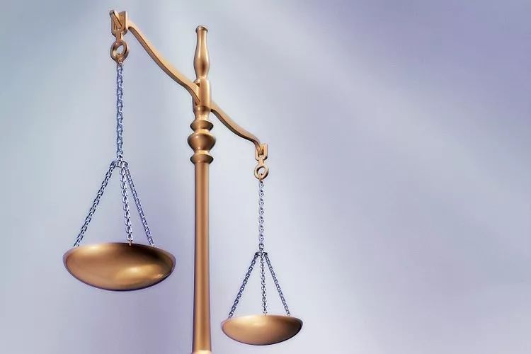 今日来看：法学专业