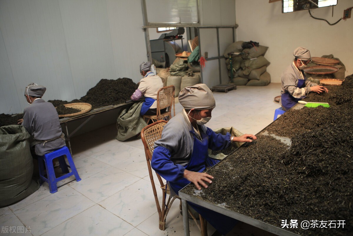 净说大实话（八）：普洱茶黄片值不值得买？