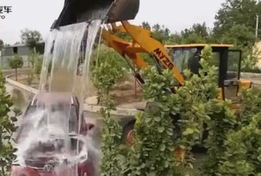 出门遇到这“街头流氓”,我劝你快逃