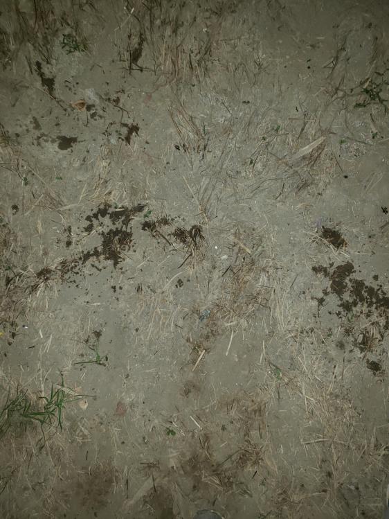 金迦潘钓杆,金迦潘求败渔具好用吗