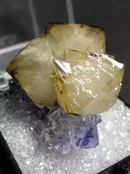 世界上令自己眸生情,见到后再也不爱别人的51个丽人