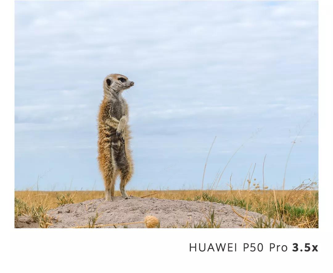 新款华为p50标准版拍摄效果图,华为p50的拍摄效果怎么样