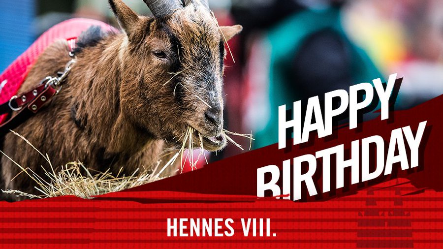 德甲所有俱乐部,德甲俱乐部大全