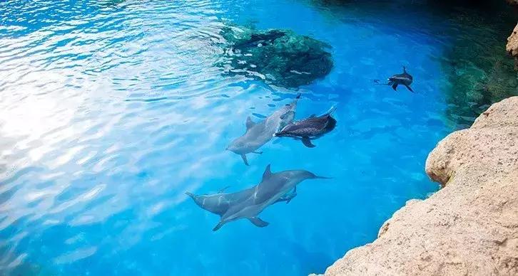 珠海长隆亲子游攻略三天两夜,珠海长隆亲子游最佳攻略