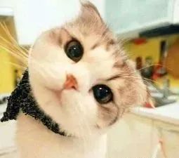 婴儿怎么从产道出生的,如何告诉孩子是从产道生出来的