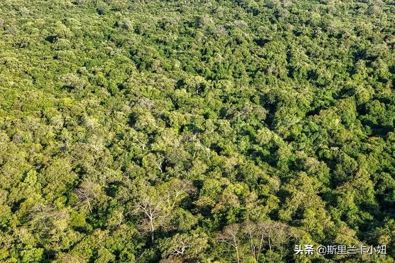 2020疫情真实纪录片,疫情真实纪录片视频