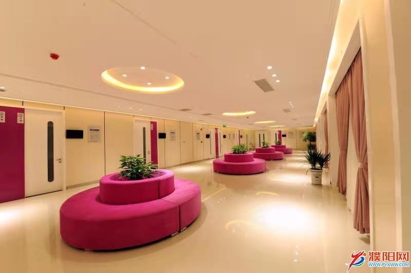 “TA”们眼里的“美年”之“美”