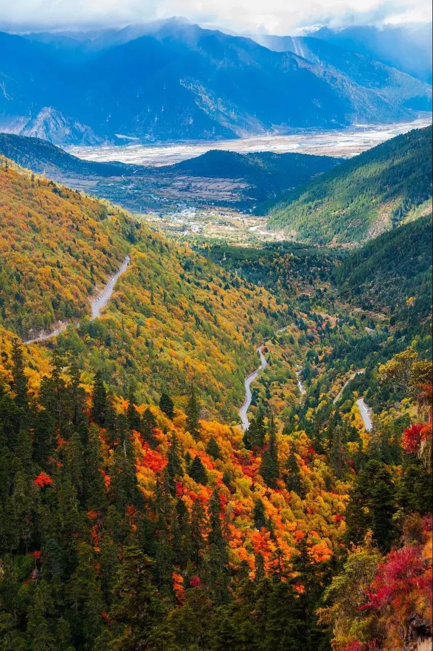 终于攒够了年假,年假怎么攒