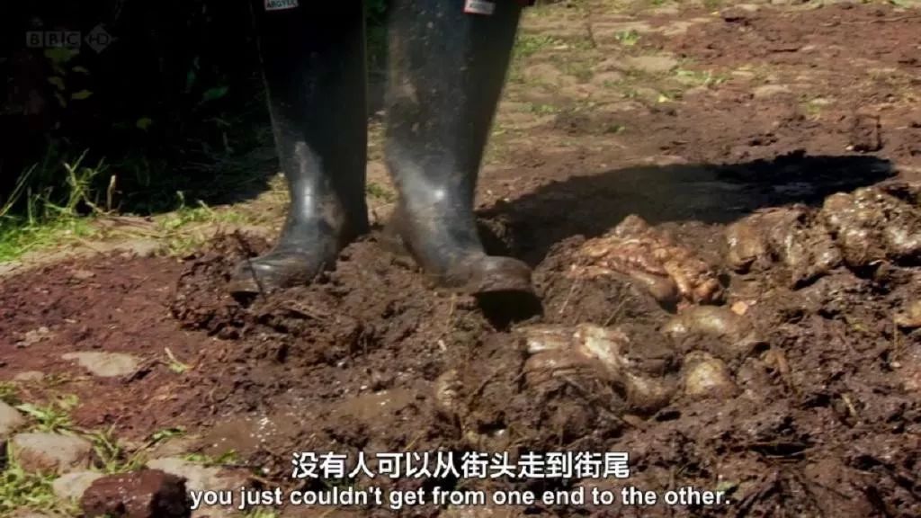 中医和西医的百年战“疫”