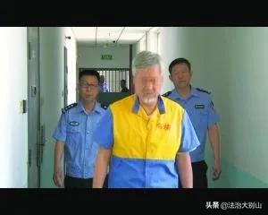 朝阳群众抓间谍,北京朝阳群众抓间谍