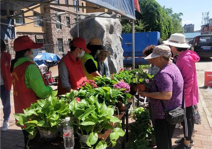 延边新闻频道今日头条,今日延边新闻头条
