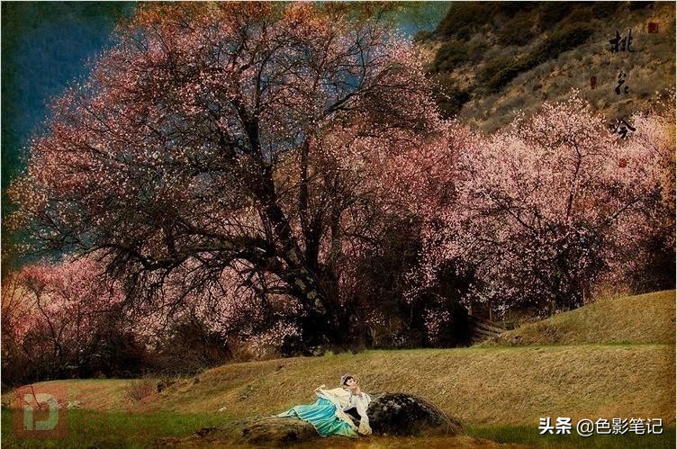 焦作零基础学摄影化妆短期班推荐,摄影先学什么课